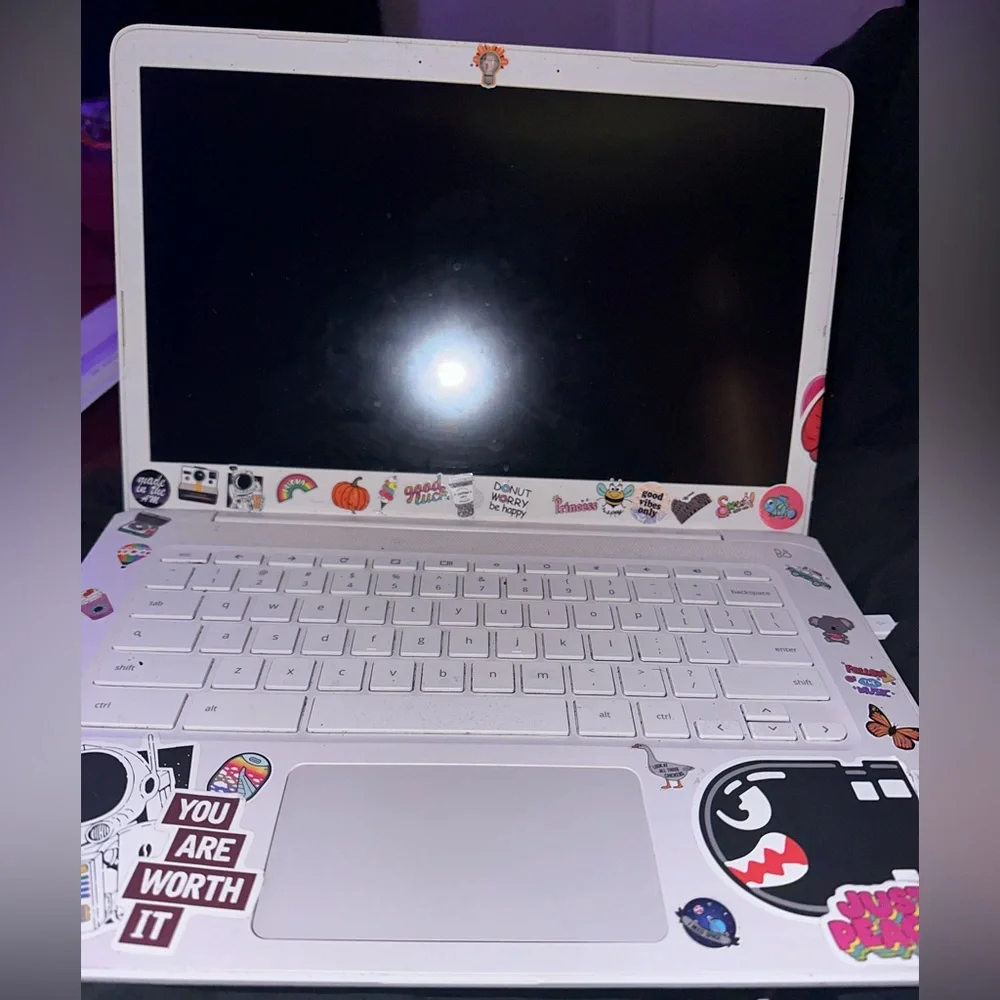 Chrome HP Laptop